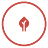 Design & Development for mobile and Web