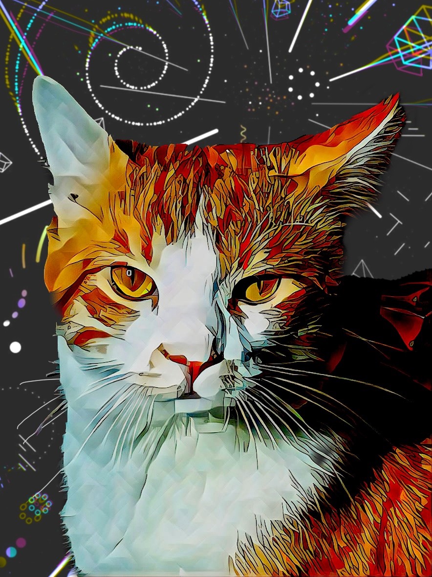 Illustrator