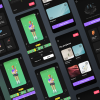 Professional UX/UI Designer