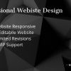 Professional Website Design